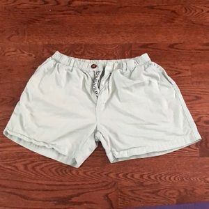 Chubbies original shorts (mint green)